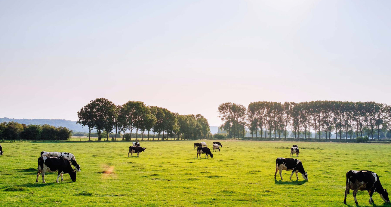 Janes Agrovet